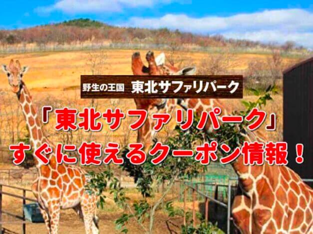 「東北サファリパーク」のクーポン一覧！【最新版】