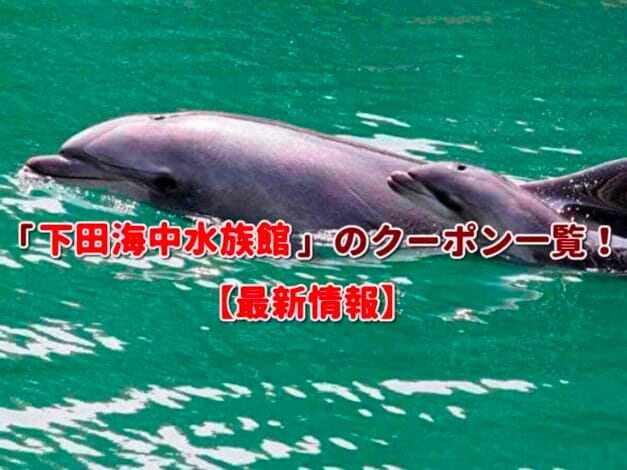 「下田海中水族館」のクーポン一覧！【最新版】
