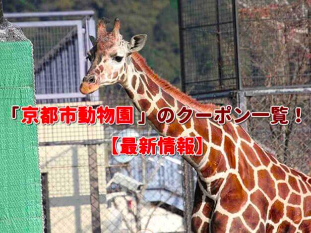「京都市動物園」のクーポン一覧！【最新版】