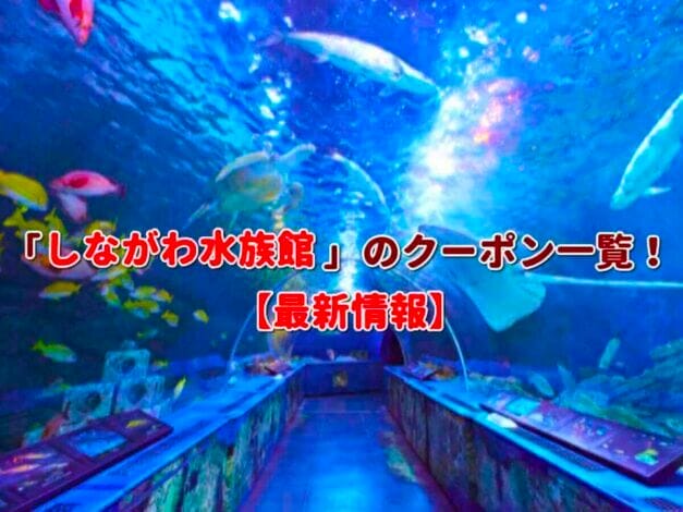 「しながわ水族館」のクーポン一覧！【最新版】