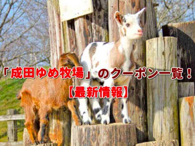 「成田ゆめ牧場」のクーポン一覧！【最新版】