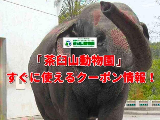 「茶臼山動物園」のクーポン一覧！【最新版】