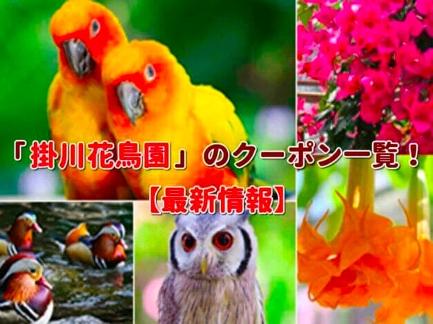 「掛川花鳥園」のクーポン一覧！【最新版】