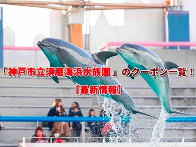 「神戸市立須磨海浜水族園」のクーポン一覧！【最新版】
