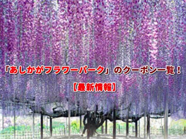「あしかがフラワーパーク」のクーポン一覧！【最新版】