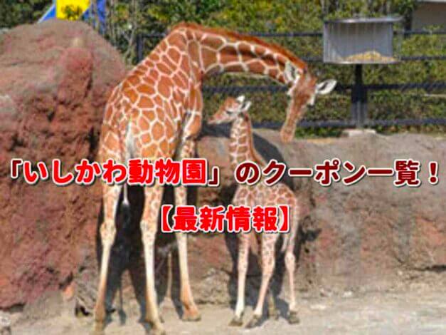 「いしかわ動物園」のクーポン一覧！【最新版】