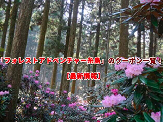 「フォレストアドベンチャー糸島」のクーポン一覧！【最新版】