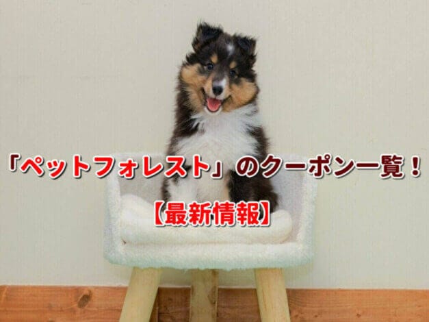 「ペットフォレスト」のクーポン一覧！【最新版】