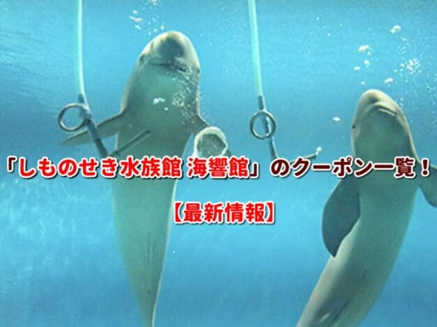 「しものせき水族館 海響館」のクーポン一覧！【最新版】