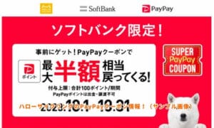 ハローサイクリングのPayPayクーポン情報！（サンプル画像）