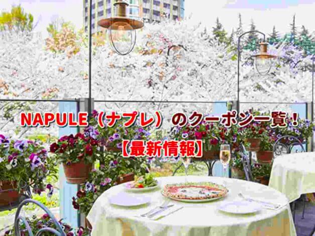 NAPULE（ナプレ）のクーポン一覧！【最新版】