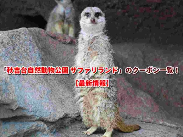 「秋吉台自然動物公園 サファリランド」のクーポン一覧！【最新版】
